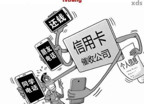 小米贷款逾期没人催收？原因解析与应对策略