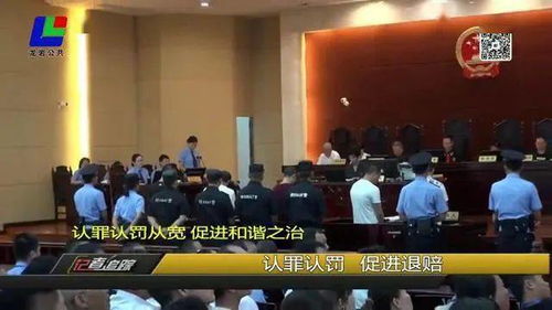 经侦案件来袭，检察院介入怎么办？请律师是关键！