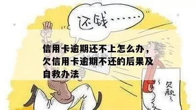 信用卡还不上怎么办？逾期后如何自救，避免雪球越滚越大？