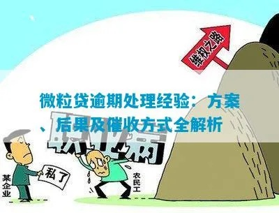 逾期贷款怎么催收？处置方案有哪些？