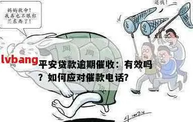 平台贷款逾期了怎么办?被催收了怎么应对? 平台贷款逾期了怎么办?被催收了怎么应对?