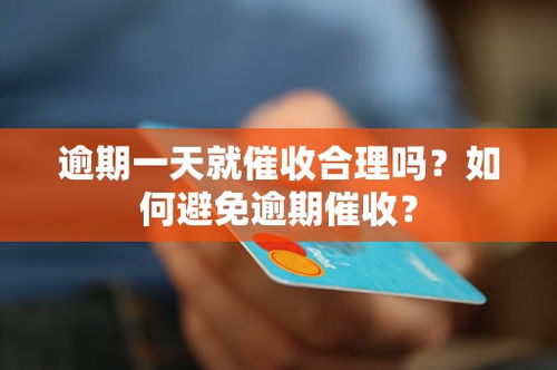 贷款逾期了怎么办？催收公司如何合法催收？