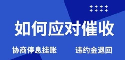 贷款逾期被政府催收？别慌，律师教你应对策略！
