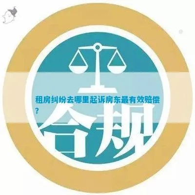 起诉房东需要请律师吗？房东纠纷应对指南