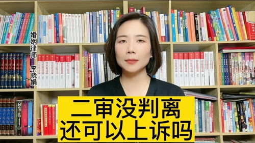 一审没判离，二审要请律师吗？专业律师为你支招