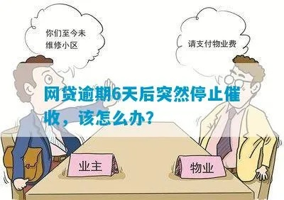 贷款逾期突然停止催收？怎么回事？如何应对？