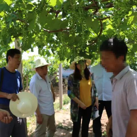 民间借贷官司要请律师吗？不请律师可能让你血本无归！