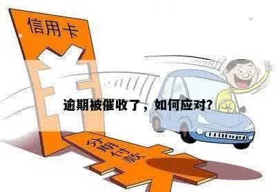 物业贷款逾期了怎么办？催收来了怎么应对？