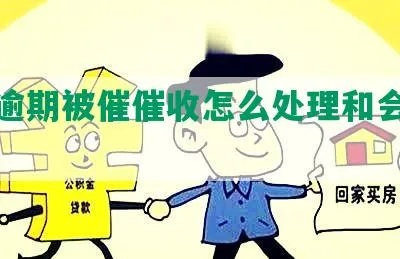 贷款逾期了怎么办?催收档案怎么处理? 贷款逾期了怎么办?催收档案怎么处理?