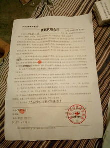 怎么请律师写诉状?收费多少才合理? 怎么请律师写诉状?收费多少才合理?