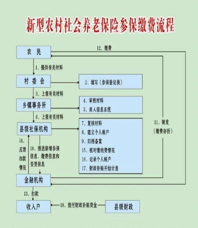 农村社保怎么缴费?不知道流程的赶紧看,别耽误养老! 农村社保怎么缴费?不知道流程的赶紧看,别耽误养老!