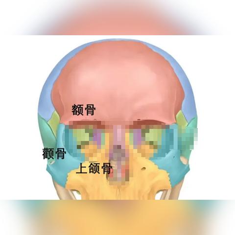 建行贷款不小心逾期了?银行会怎么催收?我们该咋办? 建行贷款不小心逾期了?银行会怎么催收?我们该咋办?