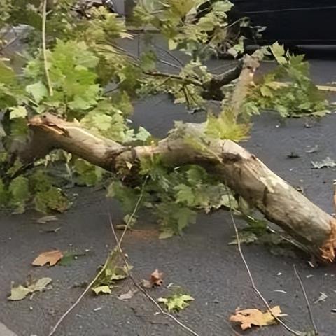 工伤骨折评了九级，能赔多少钱？钱该咋拿？