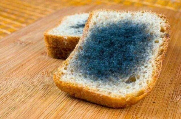 食品发霉怎么赔偿?买到变质食品别忍气吞声,这样做才不吃亏! 食品发霉怎么赔偿?买到变质食品别忍气吞声,这样做才不吃亏!