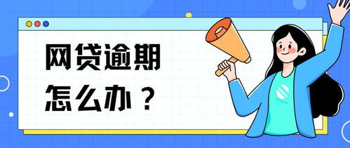 阳光贷款逾期了怎么办？催收电话不断如何应对？
