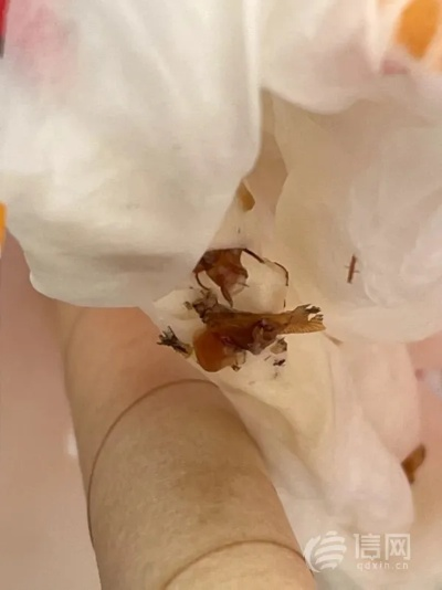 吃出蟑螂怎么赔偿?餐厅脏了,你的权益不能凉! 吃出蟑螂怎么赔偿?餐厅脏了,你的权益不能凉!