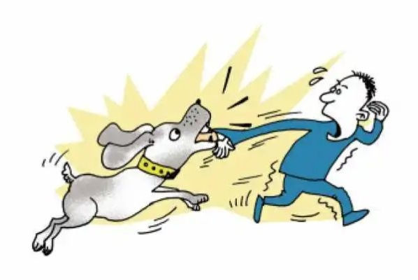 狗咬人了怎么办?不请律师如何打官司? 狗咬人了怎么办?不请律师如何打官司?