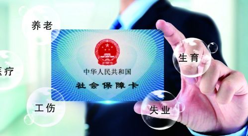 个人怎么交社保？断缴了怎么办？一次性说清所有门道！