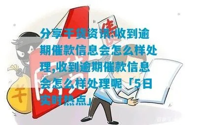 逾期贷款催收资料怎么准备？突然逾期了怎么办？