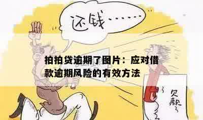 贷款逾期催收有哪些不足?如何应对潜在风险? 贷款逾期催收有哪些不足?如何应对潜在风险?