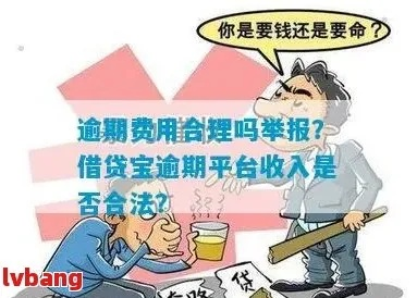 贷款逾期了怎么办？催收费合理吗？