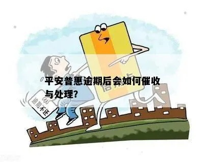 平安普惠贷款逾期了怎么办？如何应对催收？