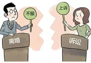 离婚官司不请律师可以吗？自己应对的挑战与技巧