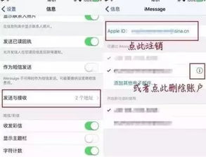 收到贷款逾期催收短信，先别慌！教你几招辨别和应对！