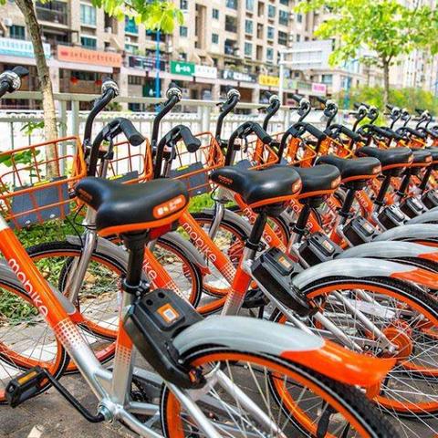 盗窃罪请律师要花多少钱？关键因素全解析！