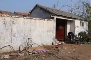 违建被强拆了怎么办？房子没了，补偿还有吗？