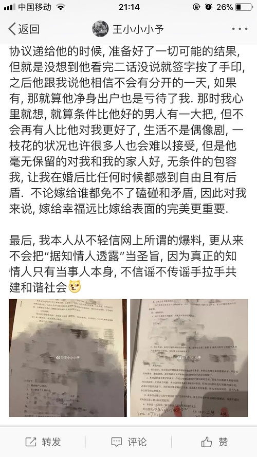 婚前协议,一场温柔的演习,为何必须请律师当导演? 婚前协议,一场温柔的演习,为何必须请律师当导演?