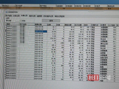 水费怎么查明细?漏缴被罚了怎么办? 水费怎么查明细?漏缴被罚了怎么办?