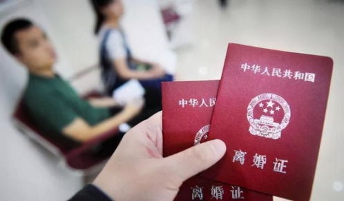 网上能办离婚吗?手续怎么走?避坑指南一次说清! 网上能办离婚吗?手续怎么走?避坑指南一次说清!