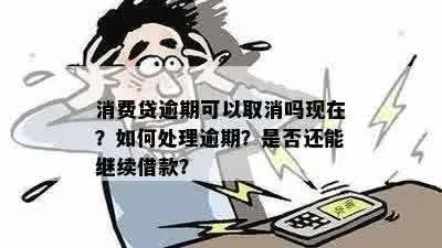 消费贷款逾期了,催收来了怎么办?哪些坑要避开? 消费贷款逾期了,催收来了怎么办?哪些坑要避开?