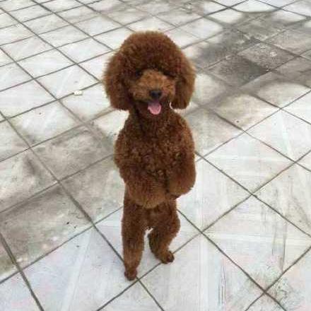 如果评不上伤残等级,那赔偿项目主要就包括 如果评不上伤残等级,那赔偿项目主要就包括