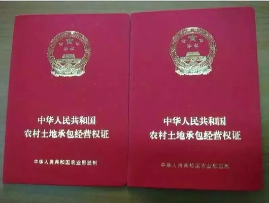 土地证怎么办理？手续不清跑断腿，一文讲透少走弯路！