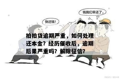 常青树贷款逾期了会催收吗?真被催收了该咋办? 常青树贷款逾期了会催收吗?真被催收了该咋办?