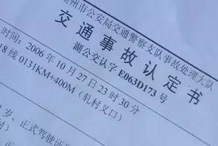 五险怎么查?查不到记录别慌,一招教你搞明白! 五险怎么查?查不到记录别慌,一招教你搞明白!