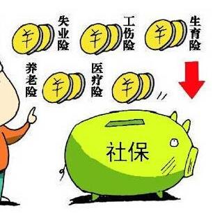 灵活就业怎么参保？断缴了怎么办？一文说清你的权益保障路