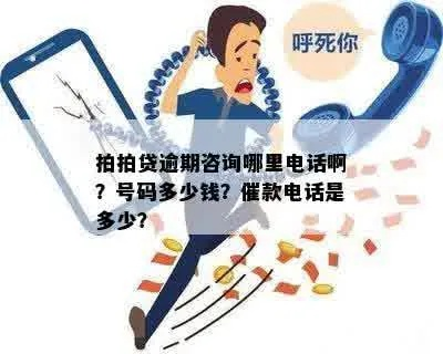 贷款逾期了怎么办?催收电话怎么接才不吃亏? 贷款逾期了怎么办?催收电话怎么接才不吃亏?