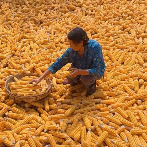 过年怎么放假？法定假期被缩水了怎么办？