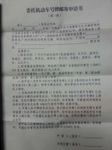 新车怎么上牌？手续复杂别慌，手把手教你避坑拿证