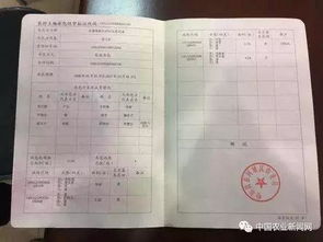 户口类型怎么填？填错了影响买房、孩子上学？一文说清关键细节！