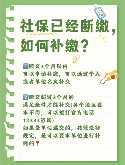 社保断缴了怎么办？补交流程全揭秘，错过一次多花几万块！