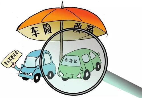 车险怎么算才不吃亏？保费年年涨，到底谁说了算？