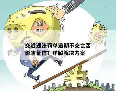罚金怎么交？拖着不交会怎样？一次性说清流程和风险！