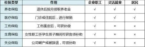 单位交社保怎么交？流程不清别慌，一文讲透操作门道！
