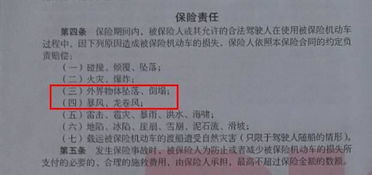 车怎么过户？流程不清卡在半路？手把手教你避坑办妥！