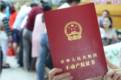 房产证丢了怎么办？补办流程全解析，别再走冤枉路！