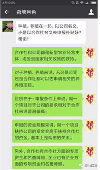 4050社保补贴怎么申请？错过窗口期还能补救吗？
